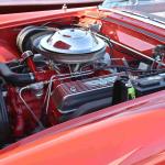 DSC_0112_01 (October 03, 2020)